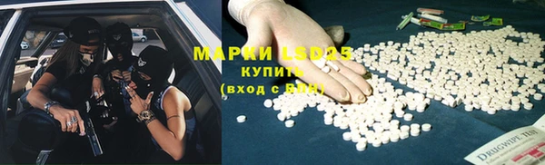прущие крисы Бородино