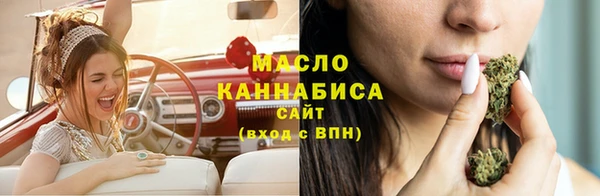 прущие крисы Бородино