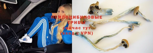 стафф Бронницы