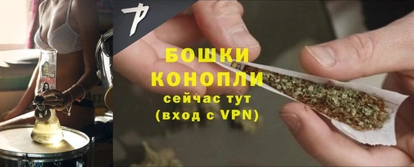 прущие крисы Бородино