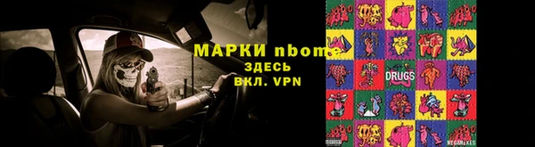 прущие крисы Бородино