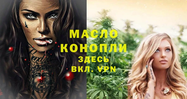 прущие крисы Бородино