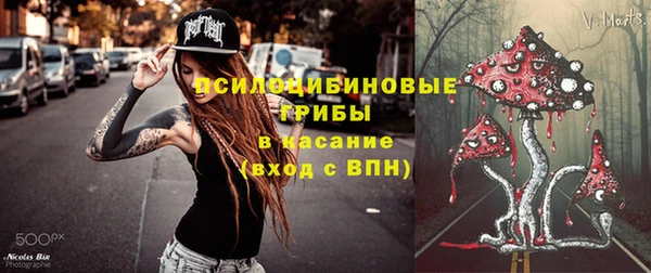 стафф Бронницы
