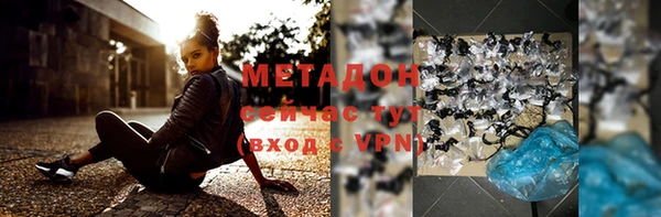 прущие крисы Бородино