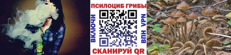 Псилоцибиновые грибы Magic Shrooms  Новотитаровская 