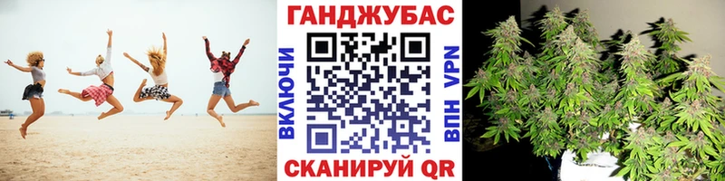 Бошки марихуана марихуана  маркетплейс состав  Новотитаровская  ссылка на мегу рабочий сайт 